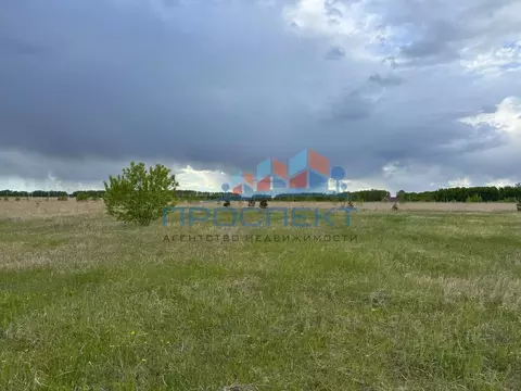 Участок в Тульская область, Ясногорский район, Иваньковское с/пос, с. ...