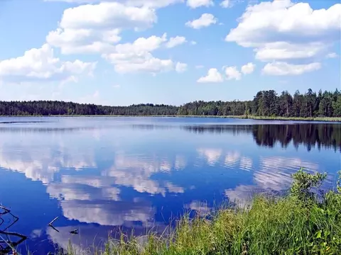 Участок в Ленинградская область, Кировский район, Мгинское городское ...