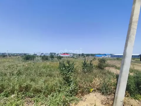 Участок в Ростовская область, Мясниковский район, Краснокрымское ...