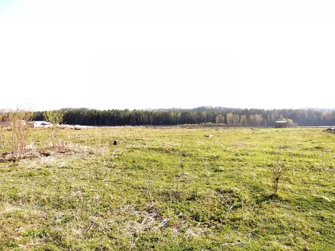 Участок в Алтай, Турочакский район, с. Удаловка  (19.0 сот.)