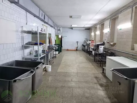 Помещение свободного назначения в Чувашия, Чебоксары ул. Магницкого, ...