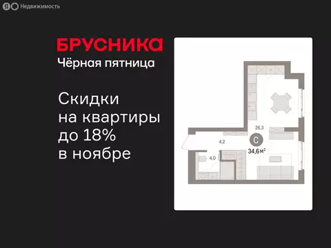 Квартира-студия: Новоселье, ЖК Брусника (34.55 м)