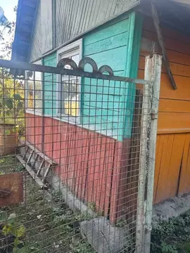 Участок в Брянская область, Брянск Имени Мичурина садоводческое ...