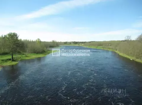 Участок в Ленинградская область, Лужский район, Осьминское с/пос, д. ...