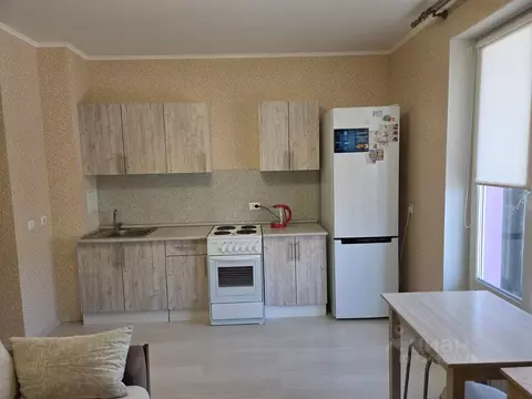 Студия Санкт-Петербург Комендантский просп., 61 (24.0 м)