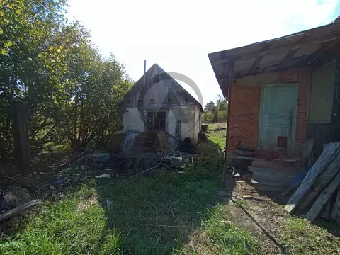 Участок в Краснодарский край, Апшеронский район, Куринская ст-ца ...