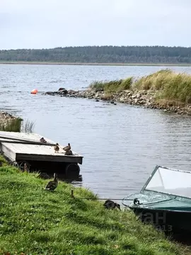 Дом в Карелия, Питкярантский муниципальный округ, Лункулансаари остров ...