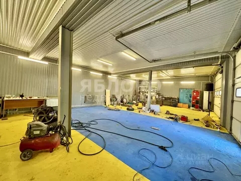 Помещение свободного назначения в Пермский край, Березники ул. Фрунзе, ...