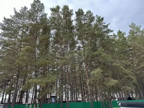 Участок в Оренбургская область, Оренбургский район, с. Нежинка, ...