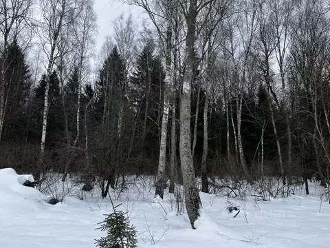 Участок в Калужская область, Боровский муниципальный округ, д. ...