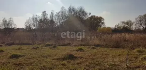 Участок в Воронежская область, с. Новая Усмань пер. Октябрьский (9.0 ...