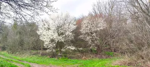 Участок в Краснодарский край, Крымский район, с. Молдаванское ул. ...