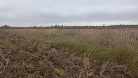 Участок в Московская область, Талдомский городской округ, д. Костино  ...