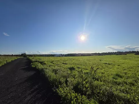 Участок в Московская область, Дмитровский муниципальный округ, пос. ...