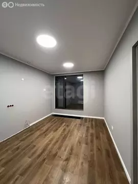 1-комнатная квартира: Санкт-Петербург, улица Челюскина, 10 (45 м)