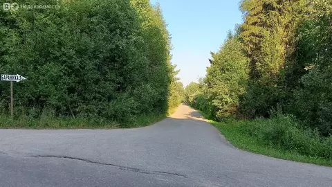 Участок в Новгородский муниципальный район, Савинское сельское ...