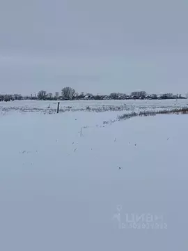 Участок в Волгоградская область, Городищенский район, Паньшинское ...