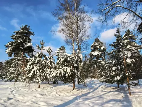 Продается участок в г. Видное