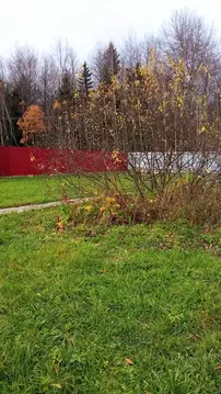 Дом в деревня Архангельское, улица Благовещения (60 м)