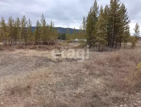Участок в Бурятия, Тарбагатайский район, Заводское с/пос, Ручеек ДНТ  ...