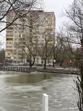 1-к кв. Московская область, Красногорск ул. Карбышева, 35/69 (34.4 м)