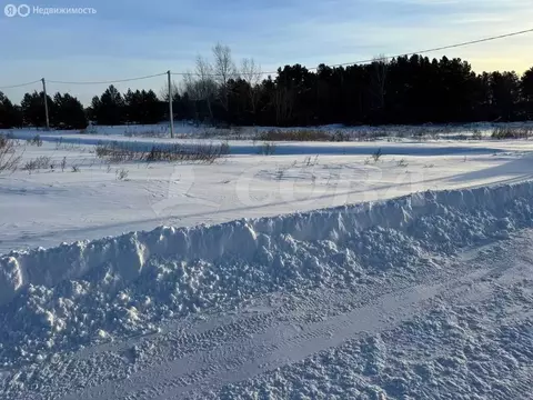 Участок в Тюменский муниципальный округ, деревня Криводанова (12 м)