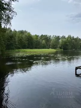 Участок в Ленинградская область, Приозерский район, Красноозерное ...