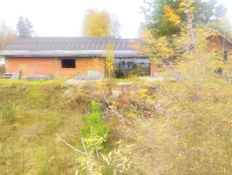 Участок в Новосибирская область, Бердск Дружба садоводческое ...