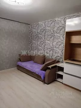 Студия Амурская область, Благовещенск Амурская ул., 349 (27.0 м)