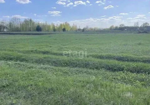 Земли сельхозназначения. Земли сельхозназначения липецкая область. Земли сельхозназначения липецкая область. Нижегородские сельскохозяйственные угодья. Участок 10 гектар.