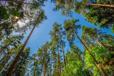 Участок в Московская область, Одинцовский городской округ, пос. дома ...