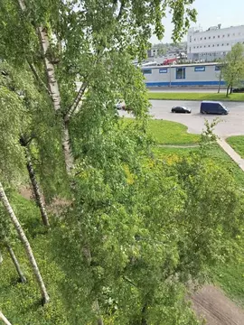 1-к кв. Санкт-Петербург просп. Большевиков, 73К1 (30.0 м)
