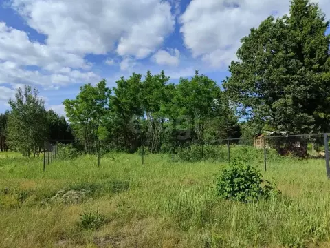 Участок в Брянская область, Брасовский район, Крупецкое с/пос, Село ...