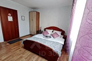 1-к кв. Челябинская область, Чебаркуль ул. Заря, 27Б (24.0 м)