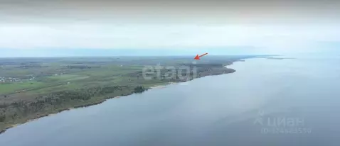 Участок в Вологодская область, Череповецкий район, Мяксинское ...