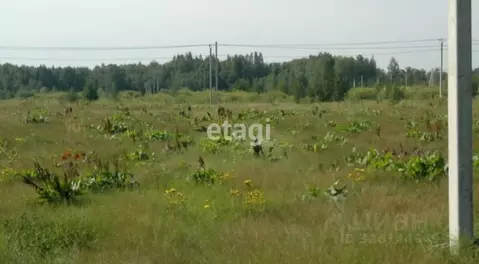 Участок в Тюменская область, Тюменский муниципальный округ, д. ...