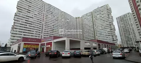 Студия Санкт-Петербург пос. Шушары, ул. Валдайская, 6к2 (25.0 м)