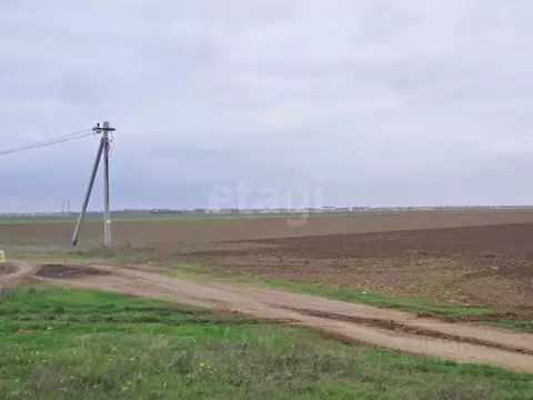 Участок в Крым, Сакский район, с. Молочное  (425.08 сот.)