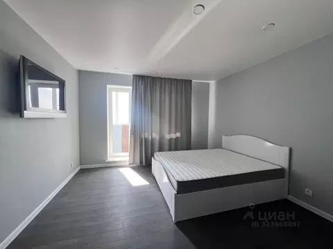 Студия Московская область, Балашиха городской округ, д. Павлино 66 ...