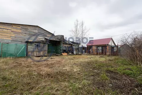 Участок в Омская область, Омск Порт-Артур мкр, ул. Пугачева, 60 (3.1 ...