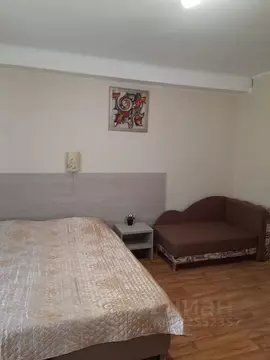 Студия Крым, Алупка ул. Ленина, 31Е (25.0 м)