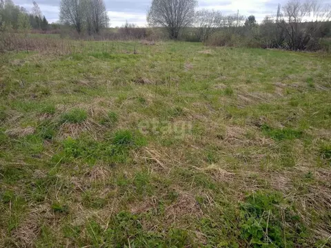 Участок в Вологодская область, д. Яминово 1 (8.0 сот.)