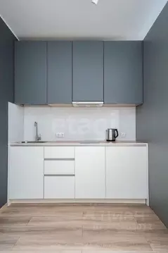 Студия Санкт-Петербург Заозерная ул., 3к2 (30.0 м)