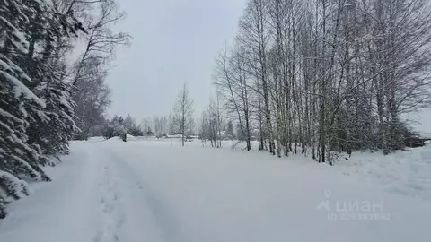 Участок в Московская область, Орехово-Зуевский городской округ, д. ...