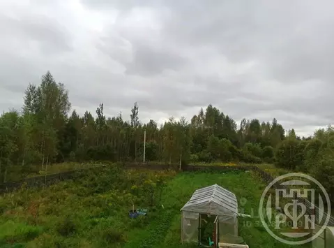 Участок в Ленинградская область, Лужский район, Заклинское с/пос, ...