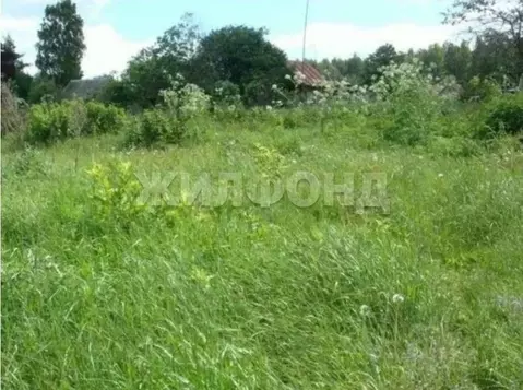 Участок в Новосибирская область, Новосибирский район, Березовский ...