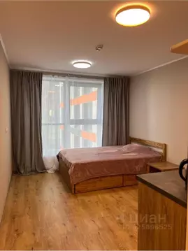 Студия Санкт-Петербург пос. Парголово, проезд Толубеевский, 8к2 (20.0 ...