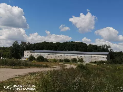 Склад в Мордовия, Ковылкинский район, Русско-Лашминское с/пос  (20881 ...