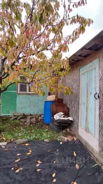 Дом в Ростовская область, Азовский район, Новоалександровское с/пос, ...