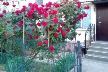 2-к кв. Крым, Евпатория просп. Ленина, 48/4 (36.0 м)